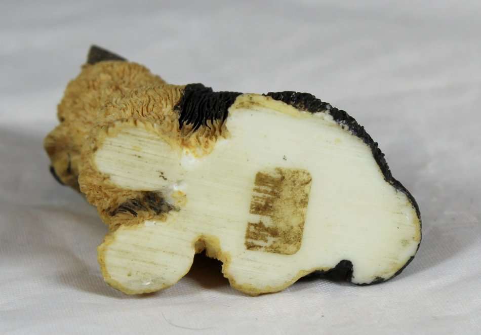 Seated Yorkie - Beautiful! - Bid Now!!!