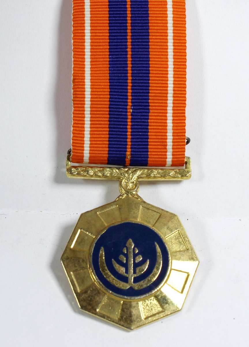 Pro Patria medal - A treasure!! - Bid now!!