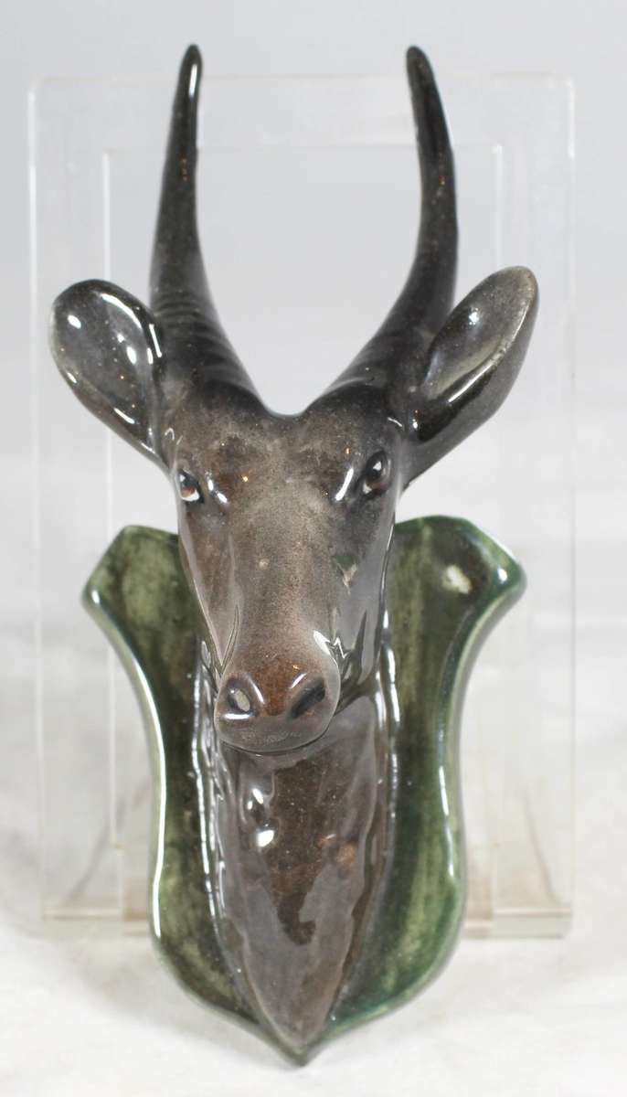 Lucia Style - Trophy Buck - Gorgeous! - Bid Now!!!