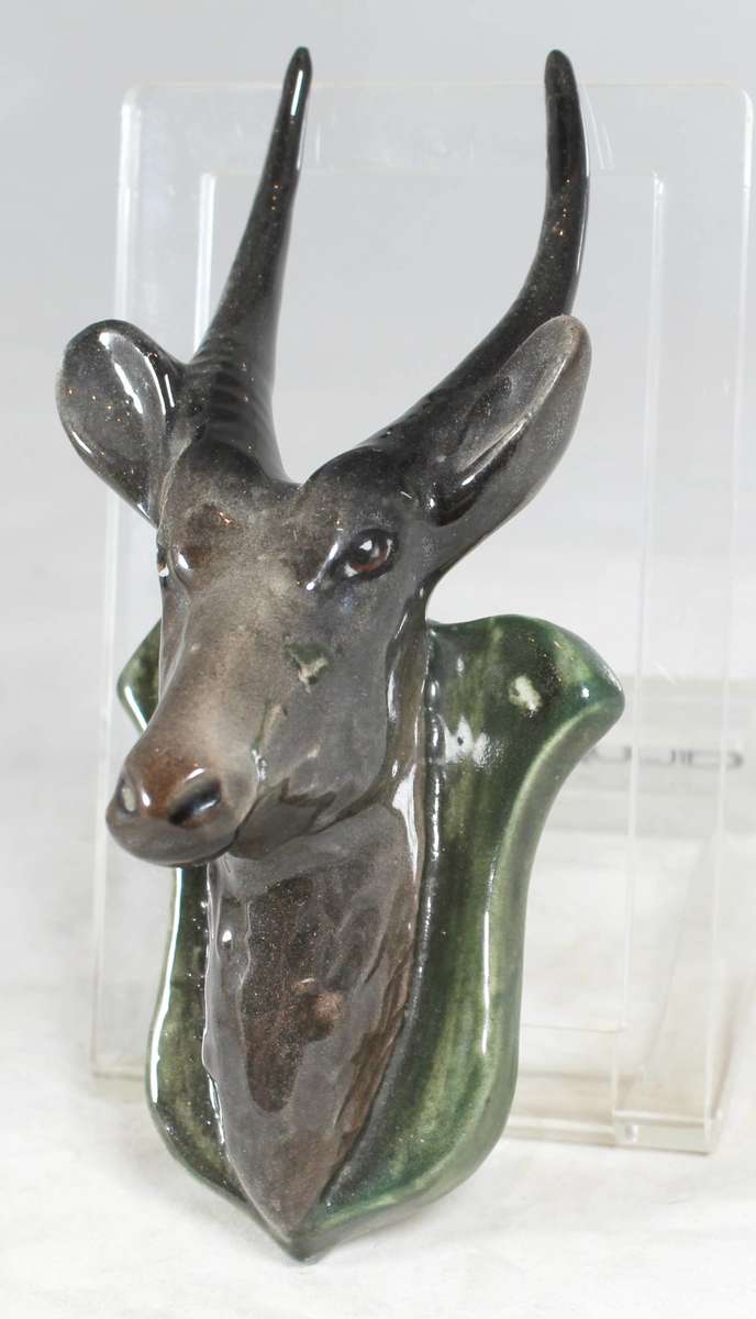 Lucia Style - Trophy Buck - Gorgeous! - Bid Now!!!