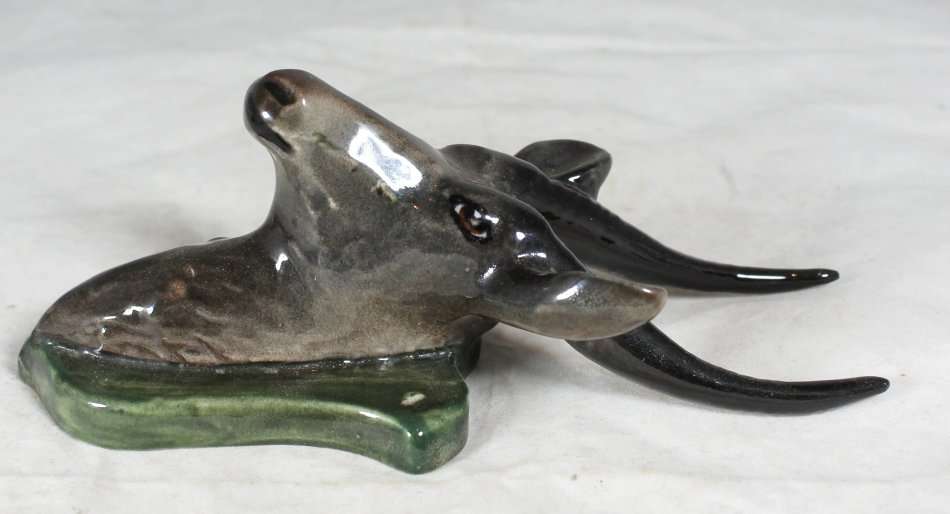 Lucia Style - Trophy Buck - Gorgeous! - Bid Now!!!