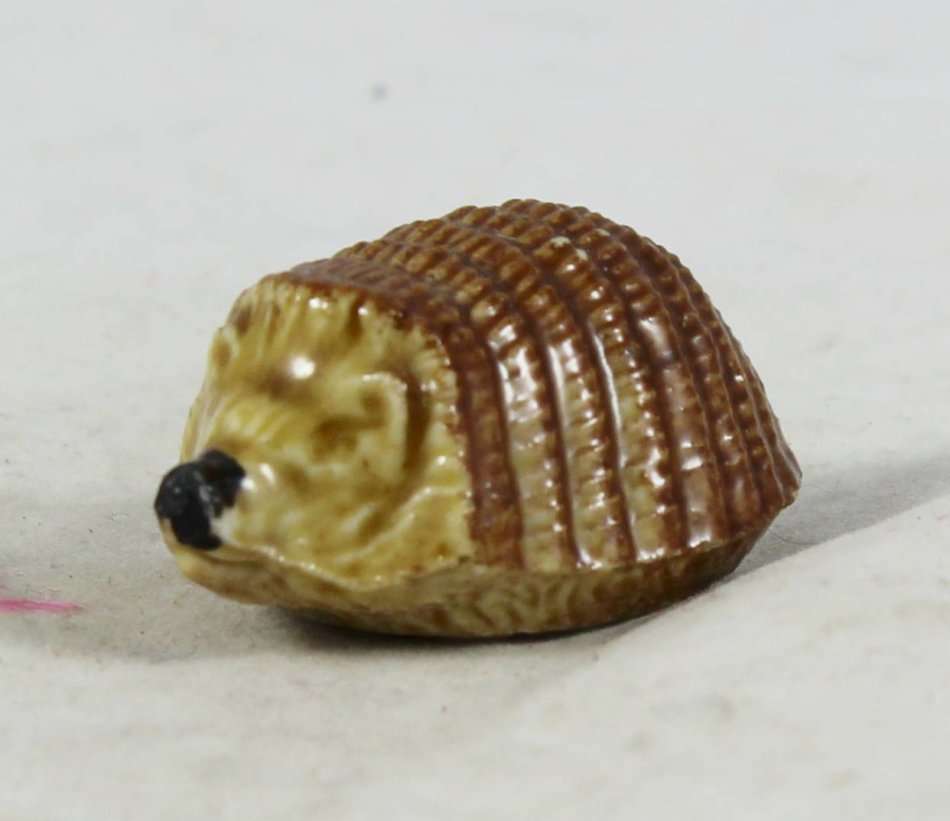 Wade - Hedgehog - Gorgeous! - Bid Now!!!