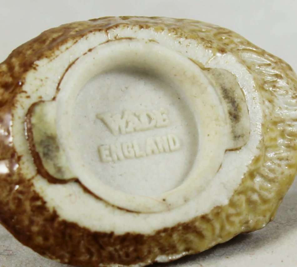 Wade - Hedgehog - Gorgeous! - Bid Now!!!