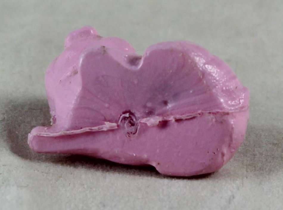 Miniature pink pig - laying down with heart