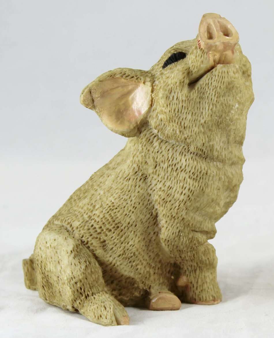 Brown Pig Looking Up & Smiling - Gorgeous! - Bid Now!!!