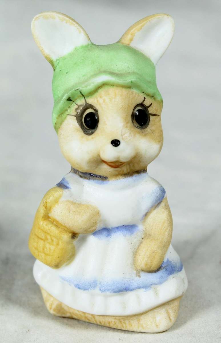 Miniature rabbit shopping