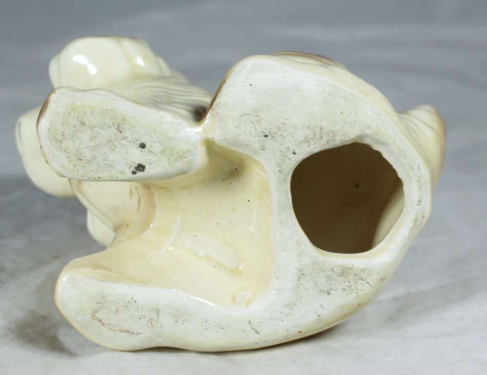 Spaniel Puppy - Adorable!