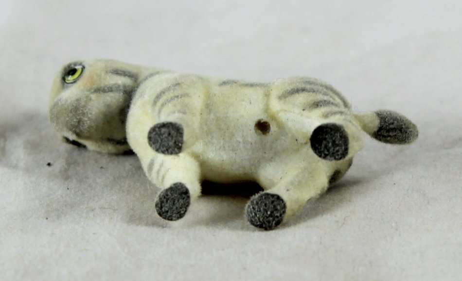 Miniature Suede Baby Zebra - Gorgeous! - Bid Now!!!