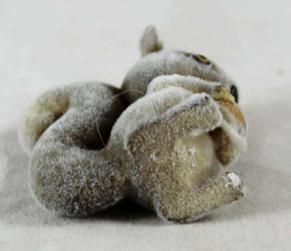 Miniature Suede Baby Squirrel - Gorgeous! - Bid Now!!!