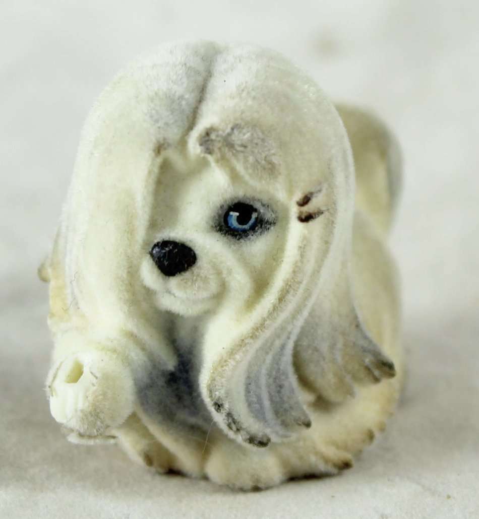 Miniature Suede Lhasa Apso Puppy - Gorgeous! - Bid Now!!!