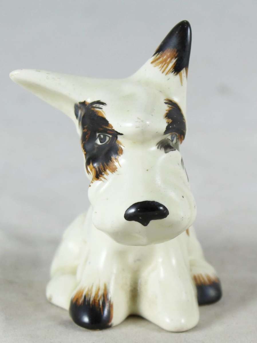 Crown Devon - Puppy - Gorgeous! - Bid Now!!!