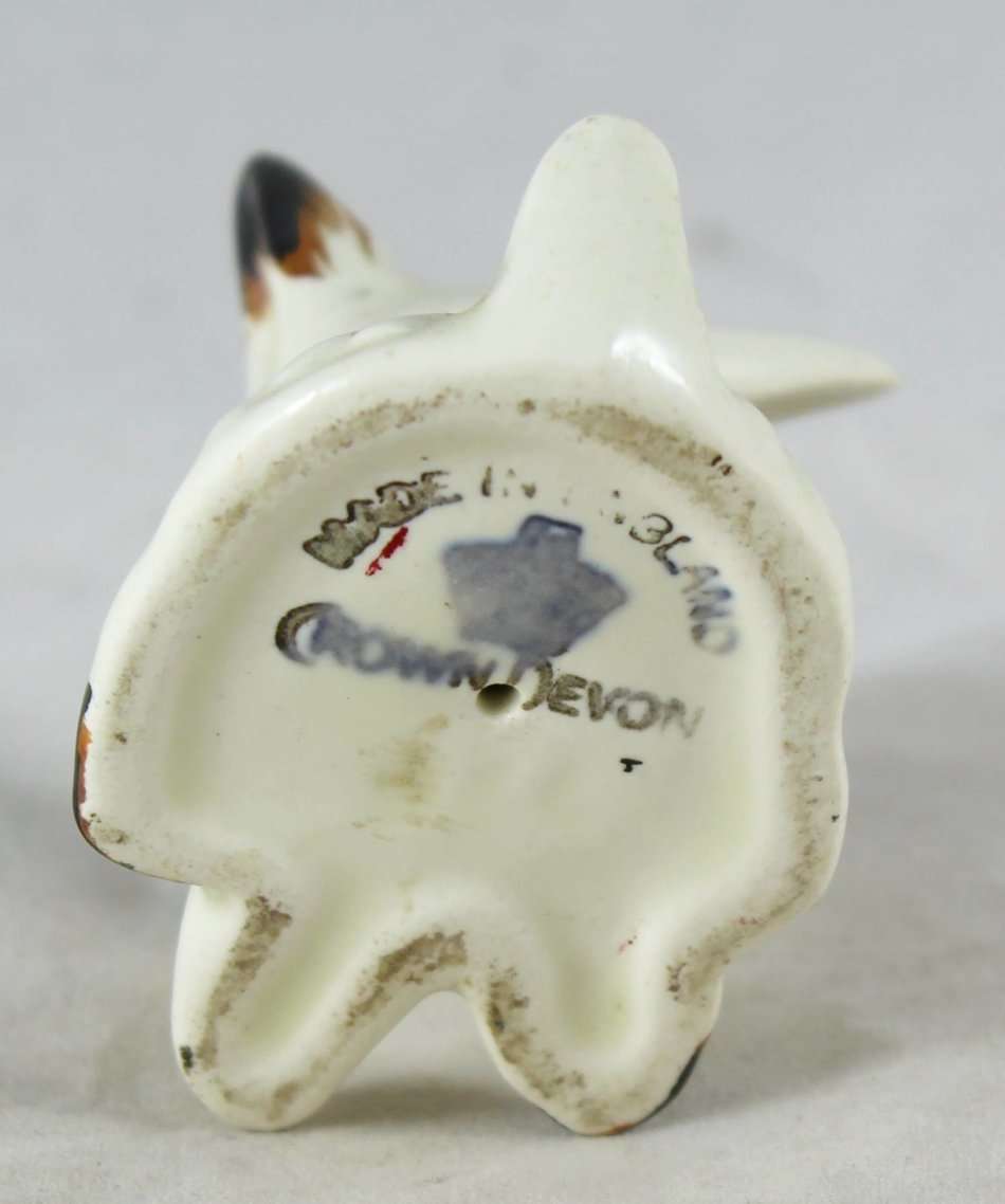 Crown Devon - Puppy - Gorgeous! - Bid Now!!!