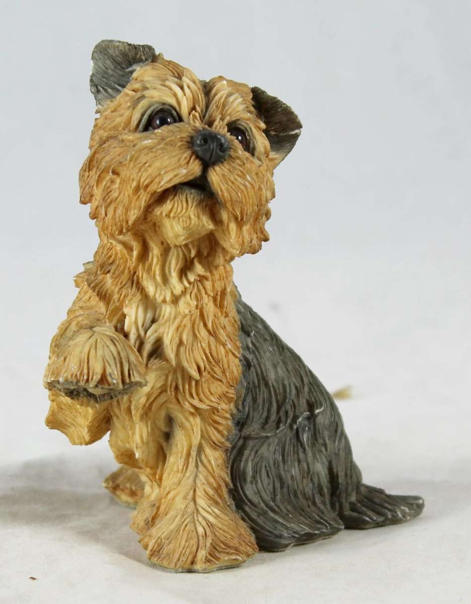 Country Artists Yorkshire Terrier Puppy