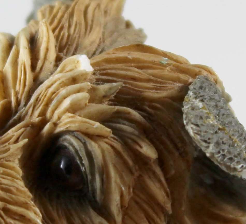 Country Artists Yorkshire Terrier Puppy