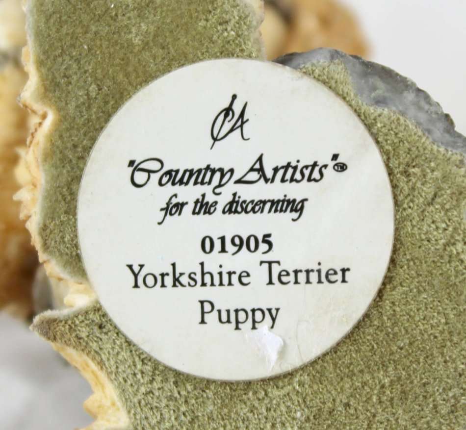 Country Artists Yorkshire Terrier Puppy