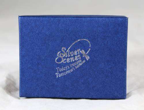 Silver Scenes - Decorative Pill Holder - Bid Now!!