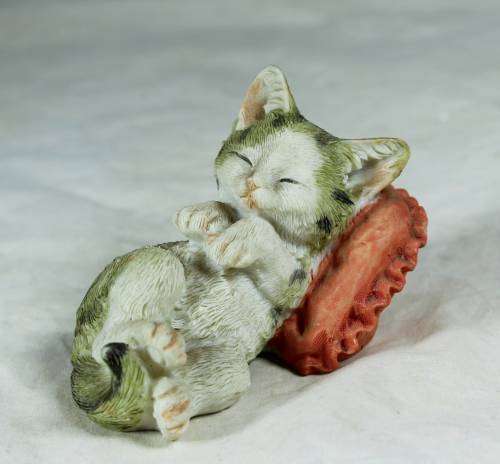 Cat Sleeping on a Pillow - Bid Now!!!