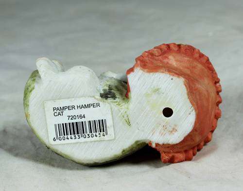 Cat Sleeping on a Pillow - Bid Now!!!