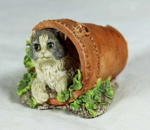 Kitten in a flower pot - Bid Now!!!