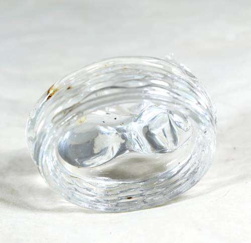 Glass Cat - Bid Now!!