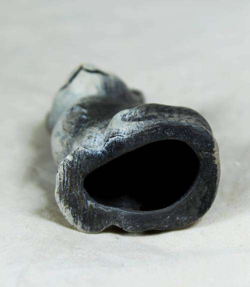 Smilling sitting Cat - Bid Now!!