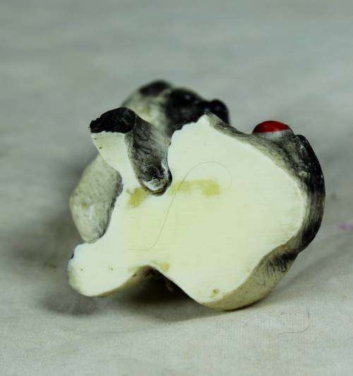 Cat with a Ladybug on its tail - Bid Now!!