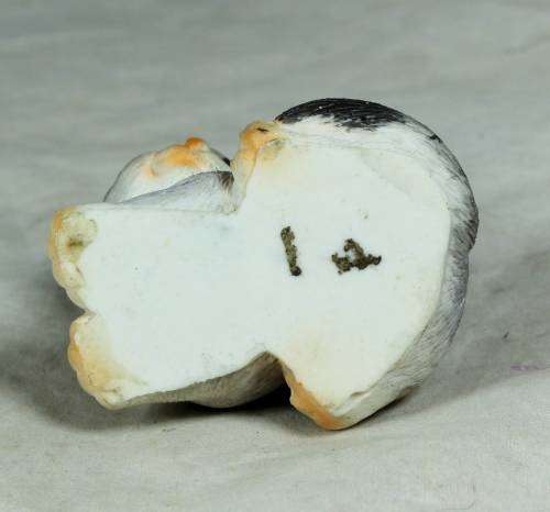 Cat with Big Eyes - Bid Now!!