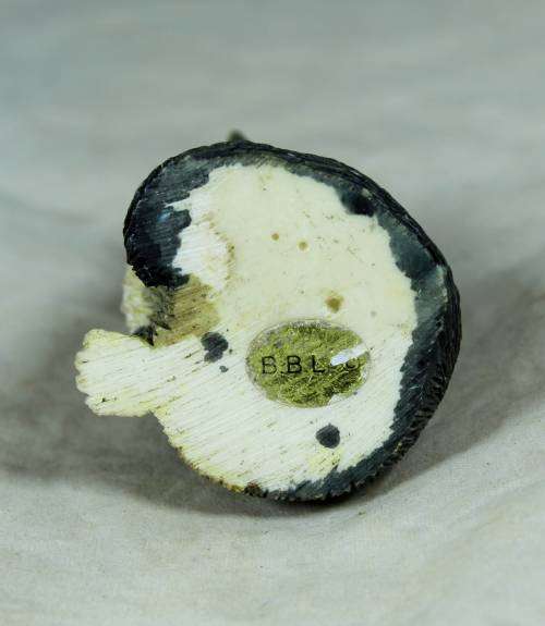 Sitting Cat - Bid Now!!