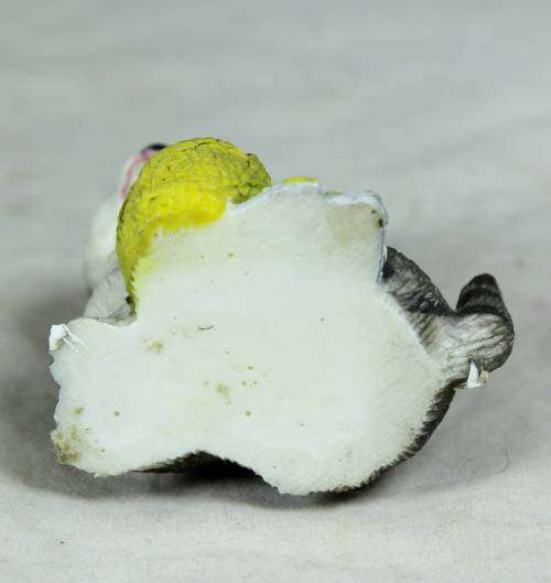 Cat with a ball of yarn - Bid Now!!