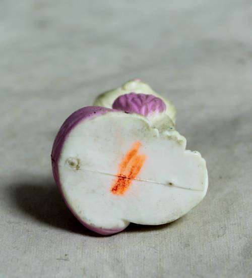 Miniature cat with pink tail