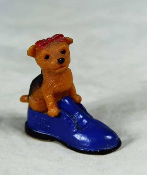 Miniature puppy in a shoe