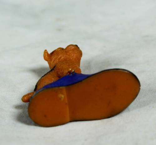 Miniature puppy in a shoe