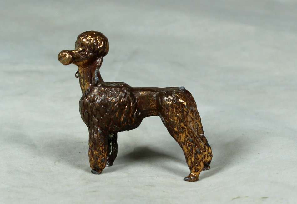 MINIATURE LEAD POODLE - BID NOW!!!