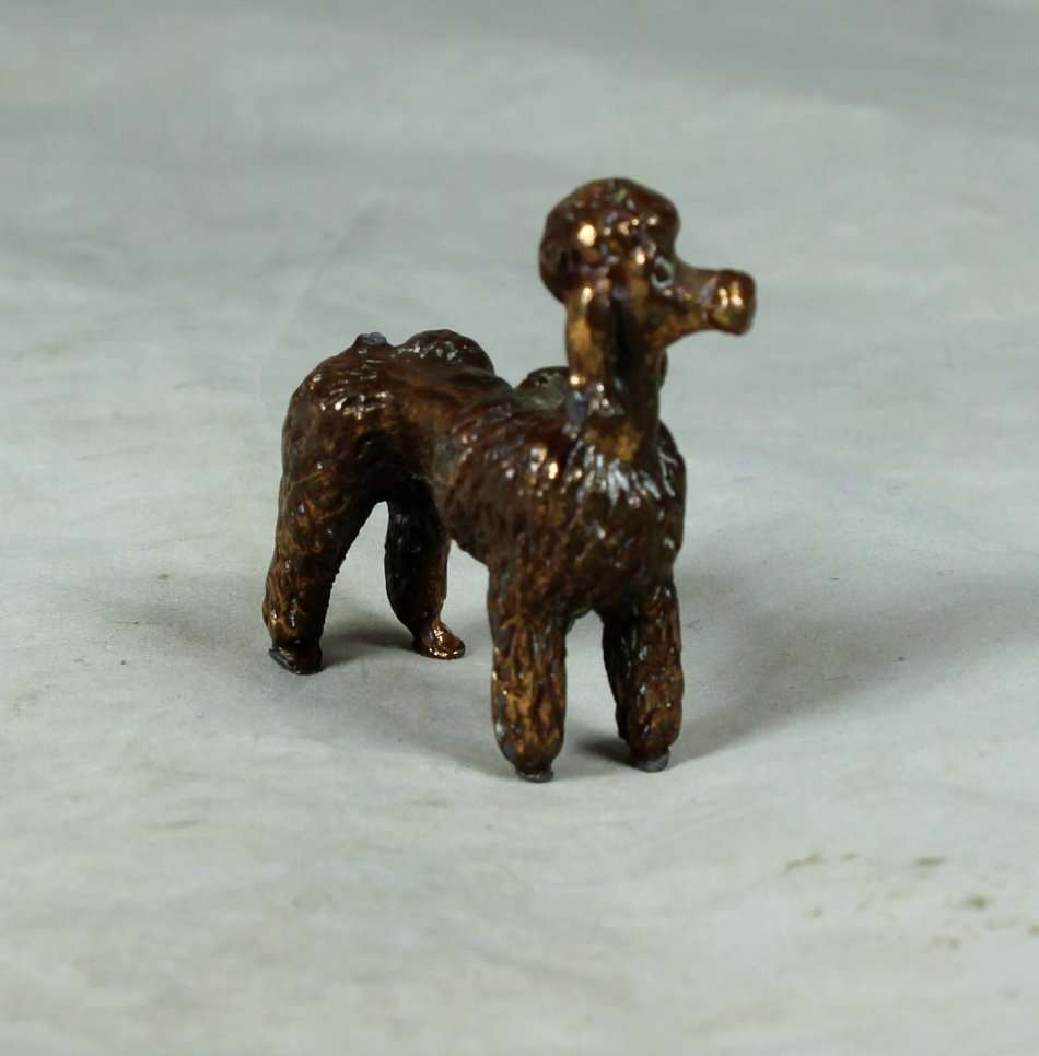 MINIATURE LEAD POODLE - BID NOW!!!