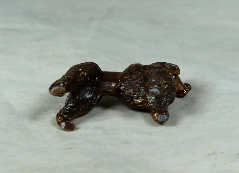 MINIATURE LEAD POODLE - BID NOW!!!