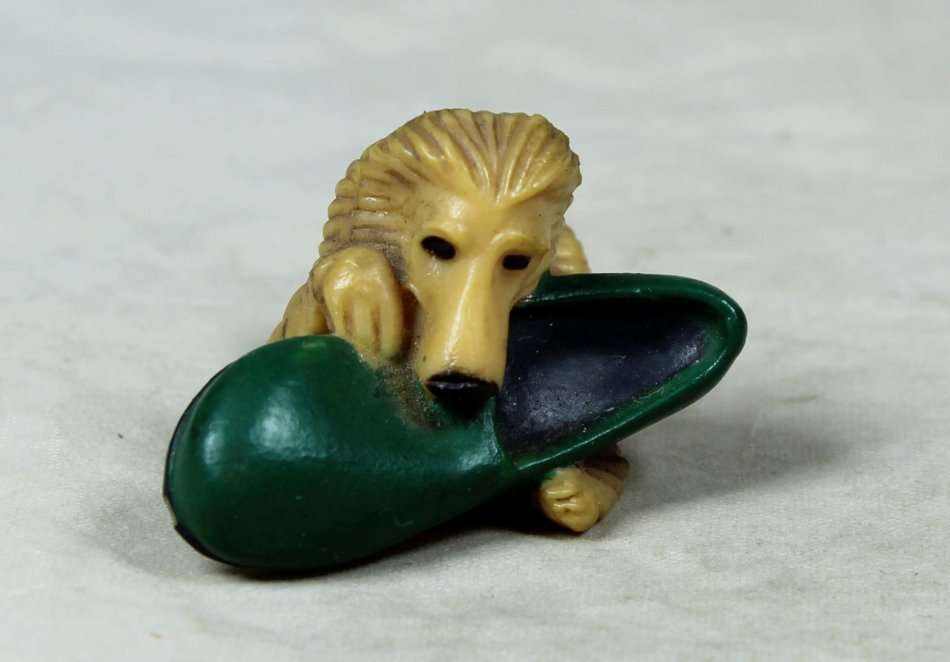 Miniature dog with a large shoe