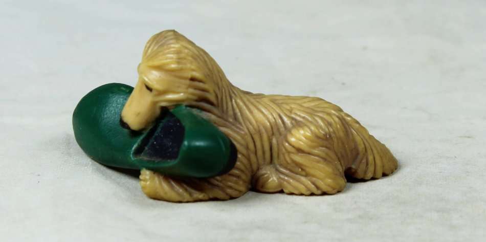 Miniature dog with a large shoe