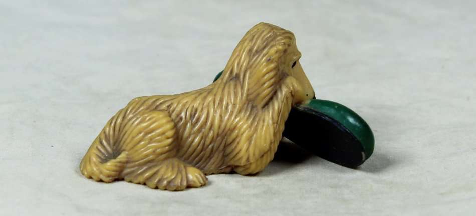 Miniature dog with a large shoe