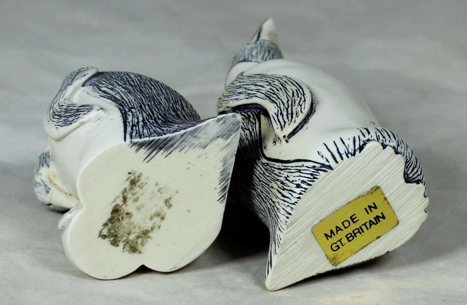 Small penguin family