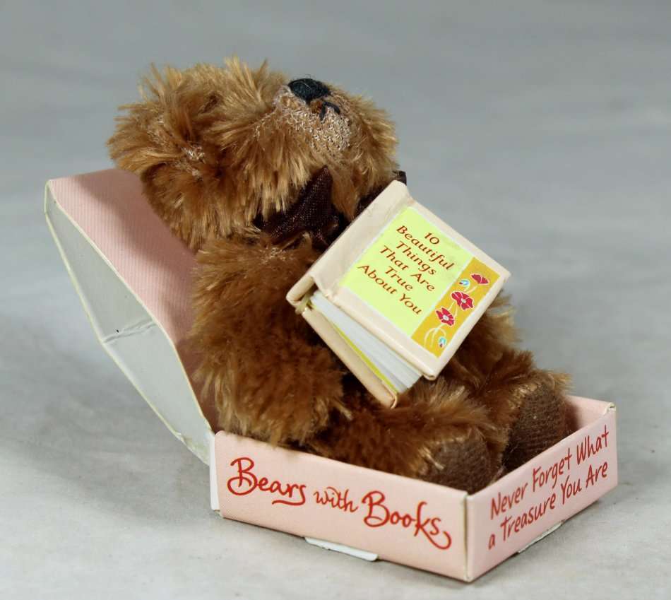 SMALL BEAR WITH BOOKS IN A BOX - BID NOW!!!!
