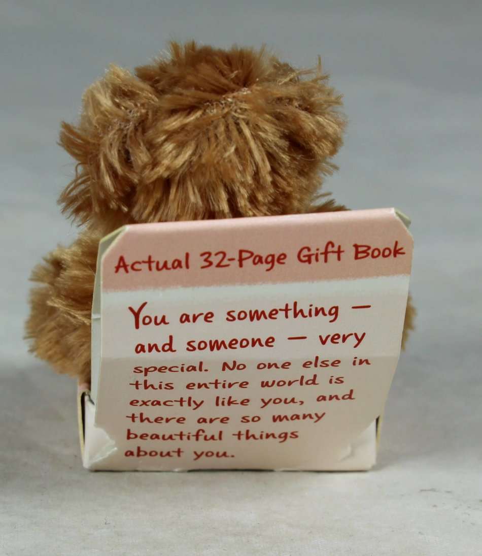 SMALL BEAR WITH BOOKS IN A BOX - BID NOW!!!!