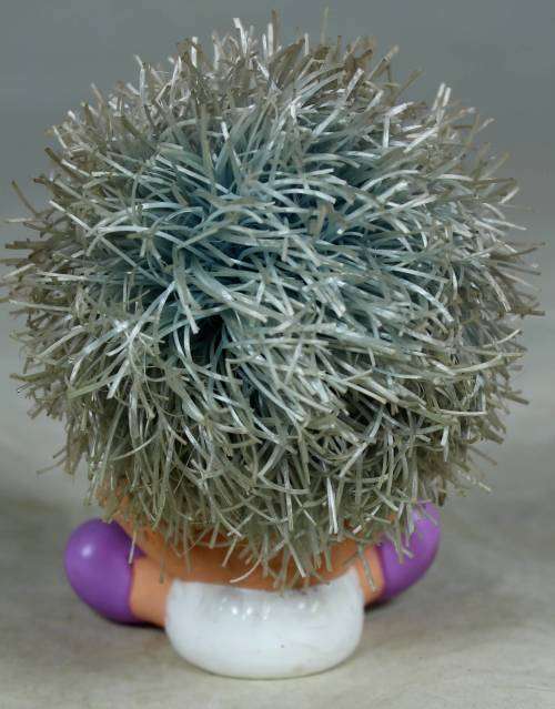 Rary dyper baby with large hair