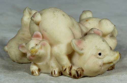 Mother piggy feeding her babies