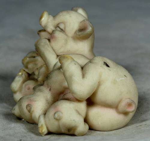 Mother piggy feeding her babies