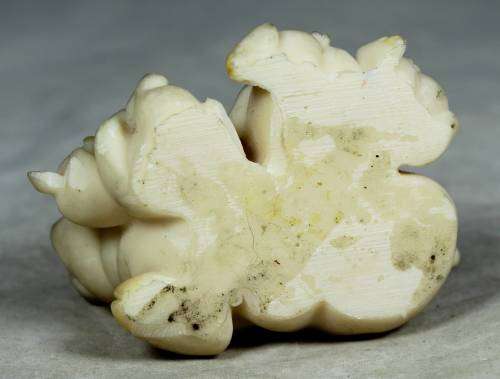 Mother piggy feeding her babies