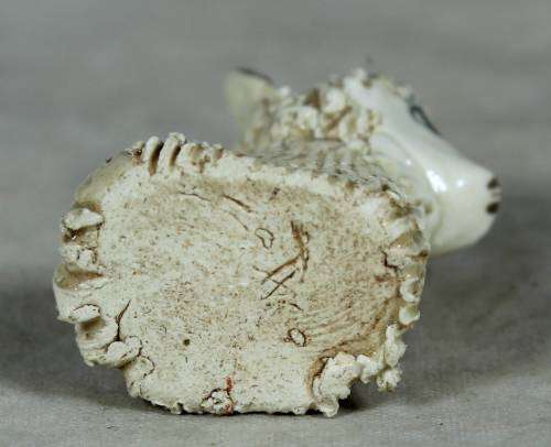 Miniature - Molded Deer