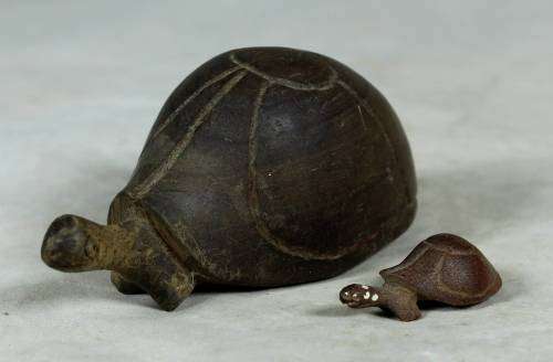 Miniature tortoise mommy with her baby