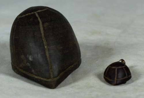 Miniature tortoise mommy with her baby