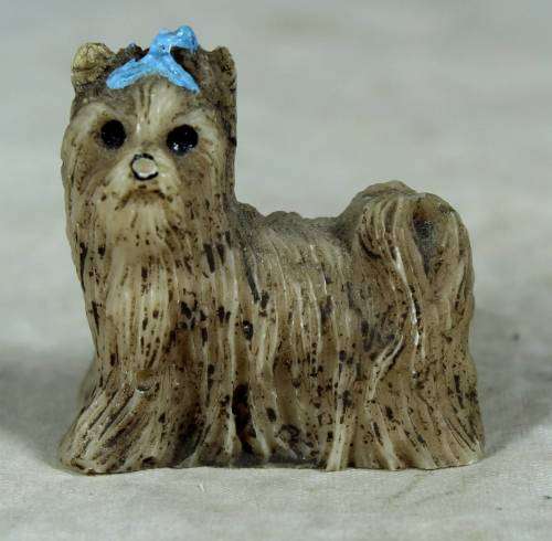 Miniature little shitshu with a blue bow