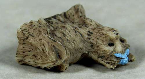 Miniature little shitshu with a blue bow